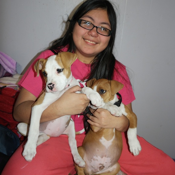 ""OUR RESCUES DOGS " - Picture 13 of 13